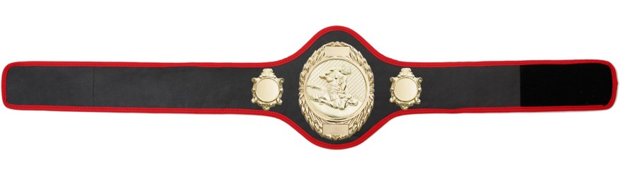 MMA CHAMPIONSHIP BELT-PRO286/G/MMAG-10+ COLOURS